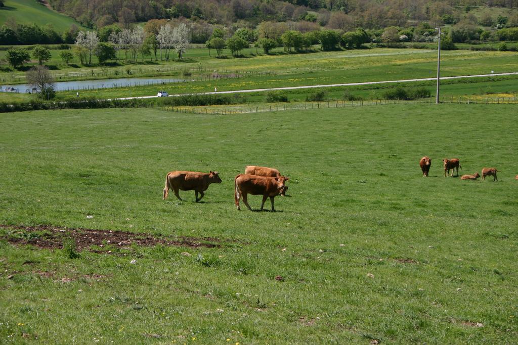 Il Poggiolo Villa Montieri Eksteriør bilde